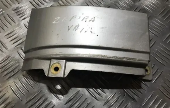 Rear/tail light trim molding