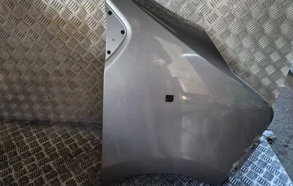 Renault Trafic III (X82) Fender
