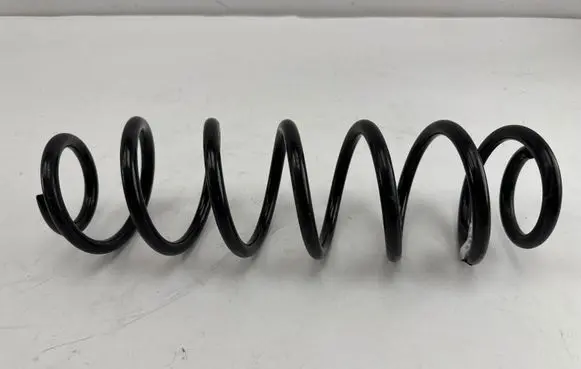 Rear coil spring