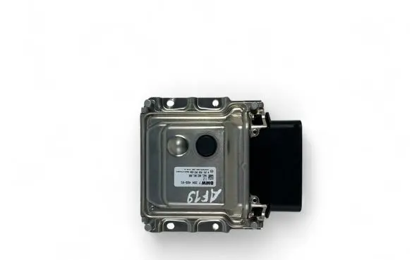 Engine control unit/module ECU