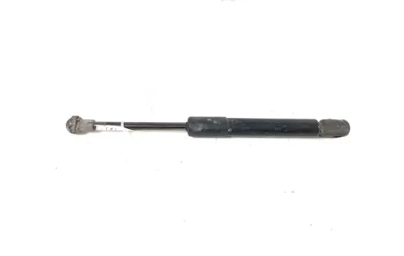 Tailgate strut