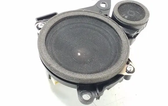 Panel speaker