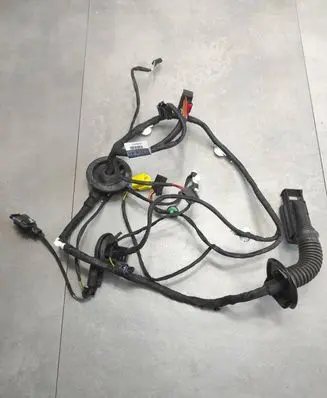 Front door wiring loom