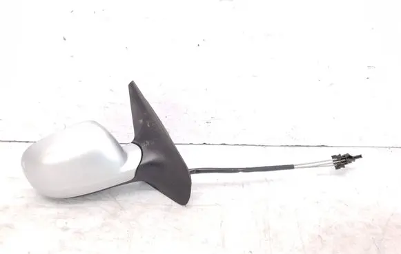 Volkswagen Golf IV Manual wing mirror E1010515