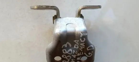 Rear door lower hinge