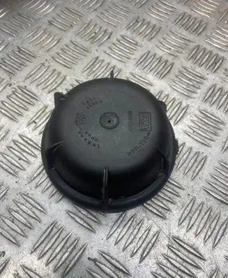 Headlight/headlamp dust cover