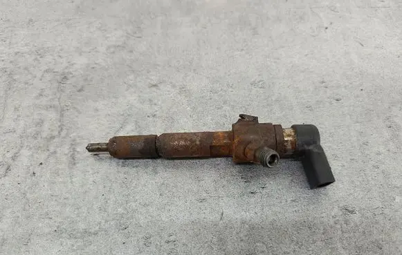 Ford Focus Fuel injector