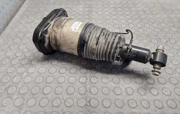 Rear shock absorber/damper