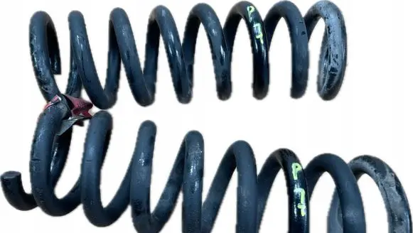 Rear coil spring