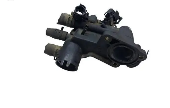 Thermostat/thermostat housing