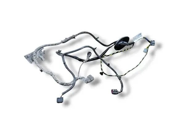 Other wiring loom