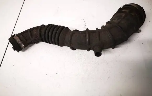 Renault Clio III Air intake hose/pipe 8200500383