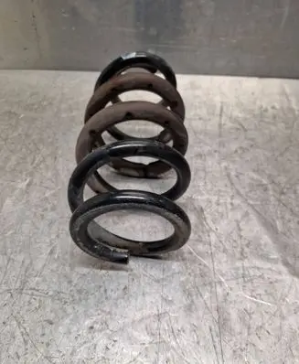 Rear coil spring