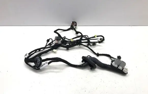 Ford Mustang Mach-E Front door wiring loom/harness boot PJ8T14630NCC