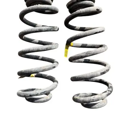 Rear coil spring
