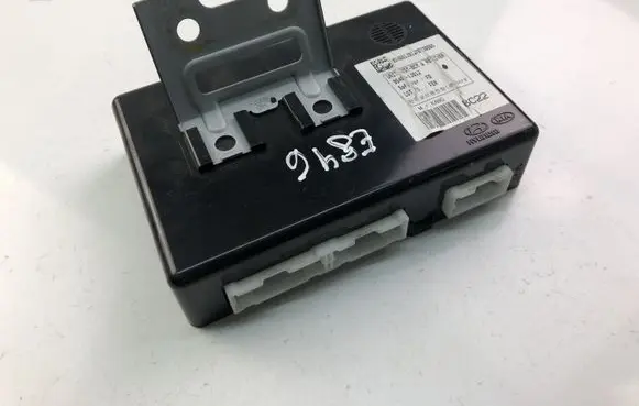 Hyundai i20 (PB PBT) Other control units/modules 954001J012