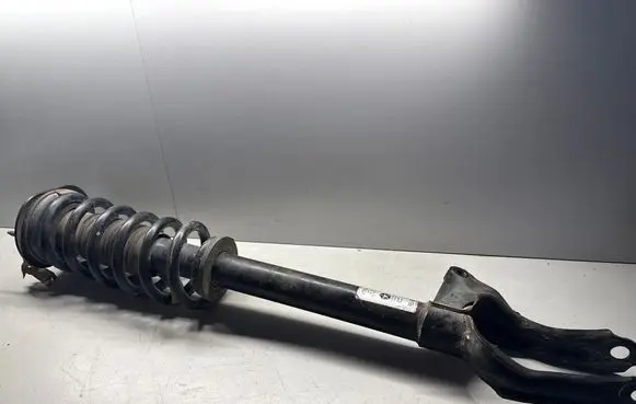 Dodge Durango Front shock absorber with coil spring 68280974AC 55553E 1A18924A