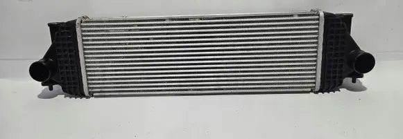 Suzuki Grand Vitara II Intercooler radiator VALEO818662