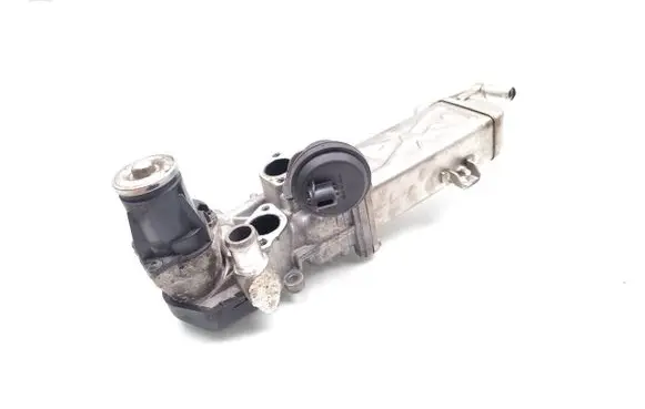 Volkswagen PASSAT B7 EGR valve 0280751016