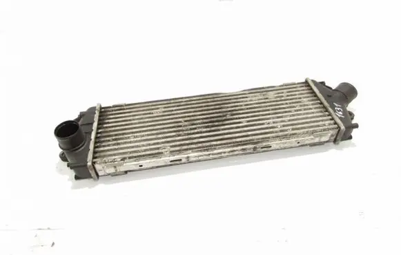 Opel Vivaro Intercooler radiator 8200411160C