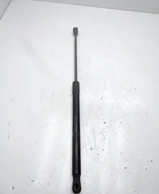 Opel Insignia A Tailgate/trunk strut/damper 22798954