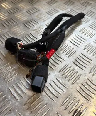 KIA EV6 Rear tail light wiring loom 