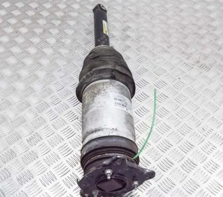 Tesla Model S Rear shock absorber/damper 106746625C