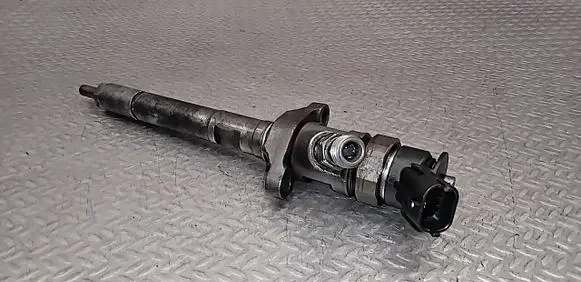 Citroen C3 Picasso Fuel injector 0445110297
