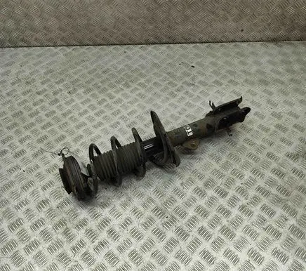 Nissan Juke I F15 Front shock absorber/damper E4302BA61A