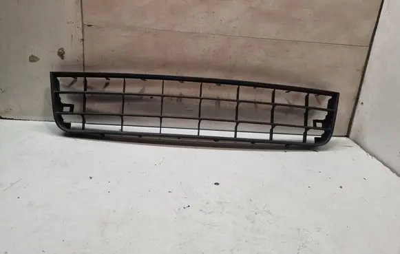 Front bumper lower grill