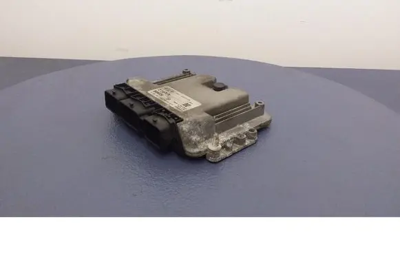 Engine control unit/module ECU