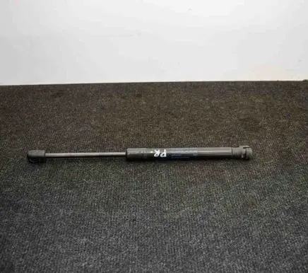 Front bonnet/hood damper/strut