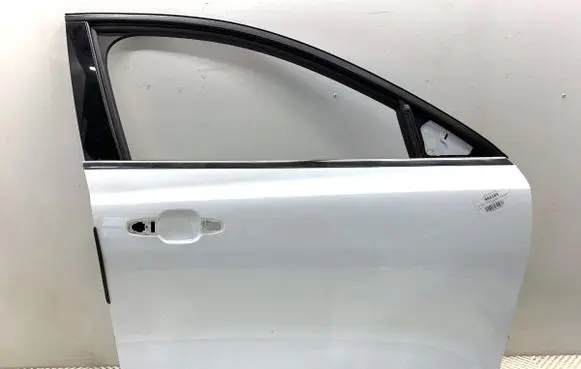 Ford Focus Front door 