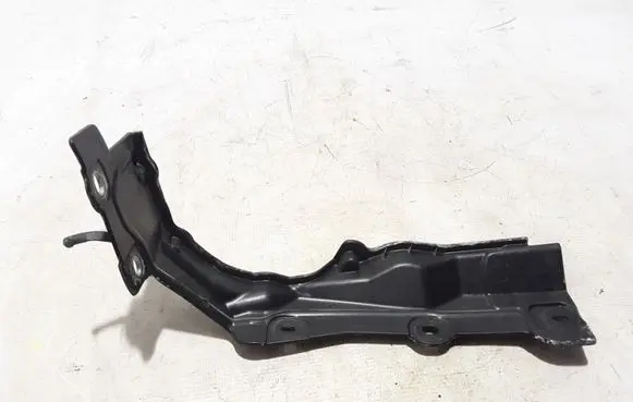 Engine bonnet/hood lock trim molding