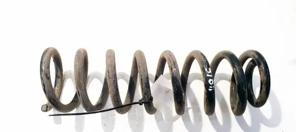 Renault Fluence Rear coil spring 