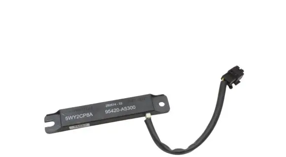 Hyundai Santa Fe Keyless system antenna 95420A5300