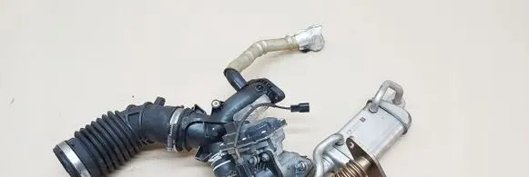 Renault Clio IV EGR valve
