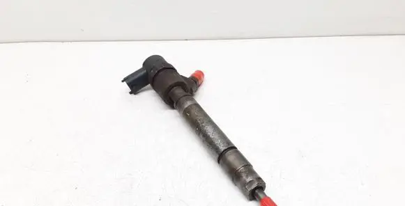 Volvo V70 Fuel injector 0445110298 30777526 58RSIAND