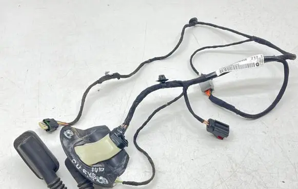 Rear door wiring loom