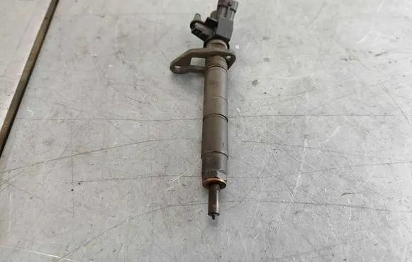Land Rover Range Rover L405 Fuel injector LR066229 LR054298