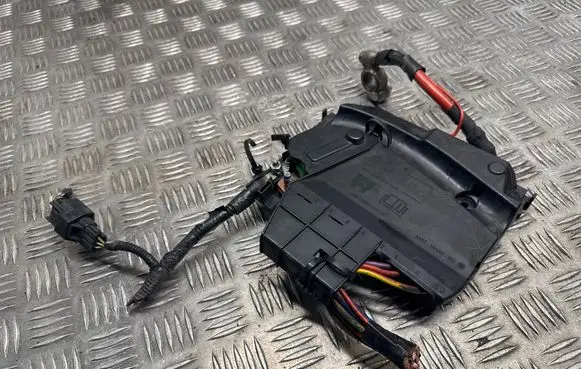 Fuse module