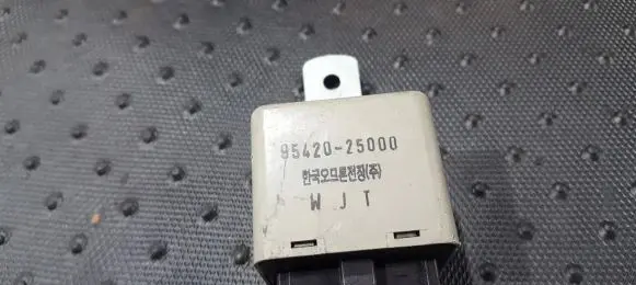 Hyundai Accent Other control units/modules 9542025000