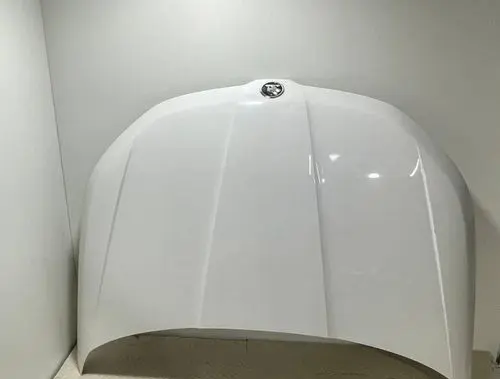 Skoda Kodiaq Engine bonnet/hood 565823031 43137 565823031A