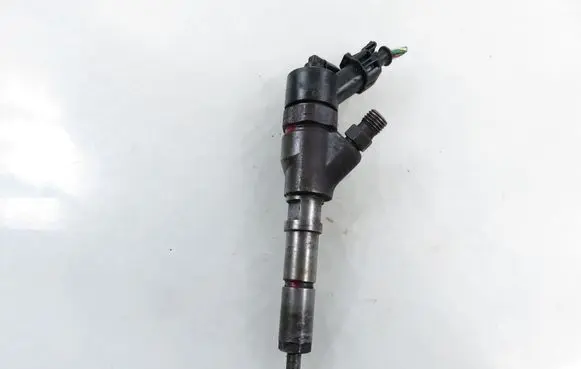 Peugeot Boxer Fuel injector 0445110076