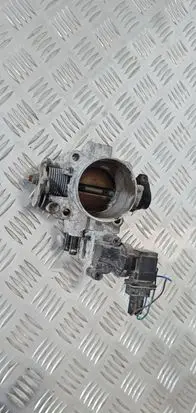 Hyundai Santa Fe Throttle body valve 
