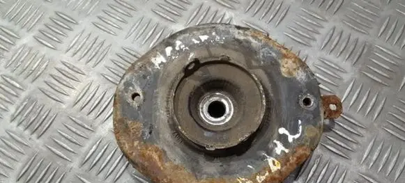 Coil spring mount