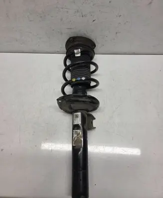 Volkswagen Tiguan Front shock absorber/damper 5QF412022