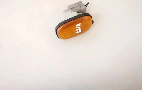 Front fender indicator light
