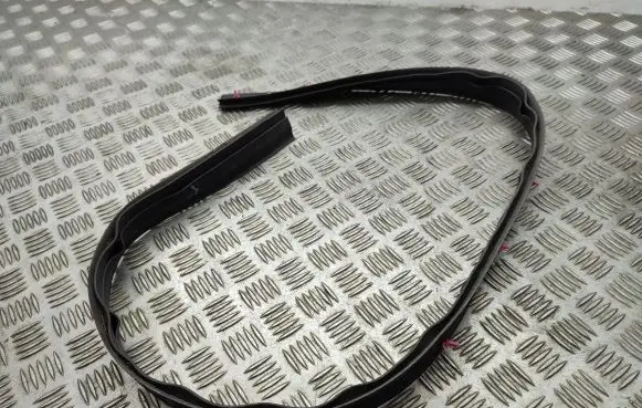 Lexus NX Front door rubber seal