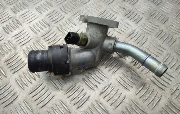 Thermostat/thermostat housing